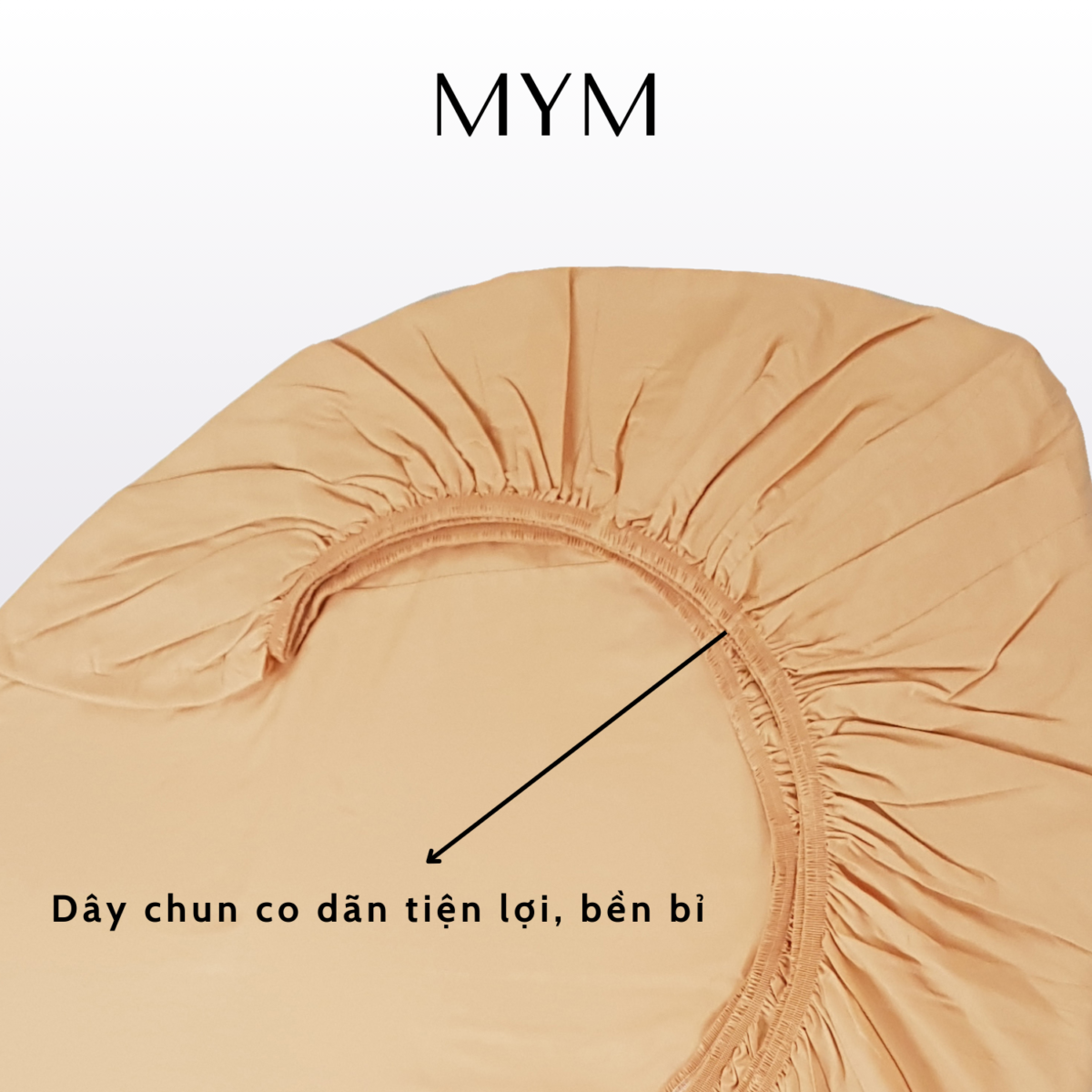 Chi Tiết Bộ Drap Gối Cotton Màu 07