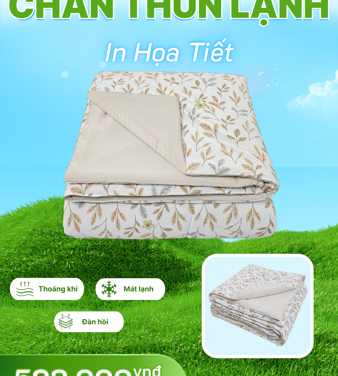 Chăn chần Thun Lạnh in Họa Tiết 6 2